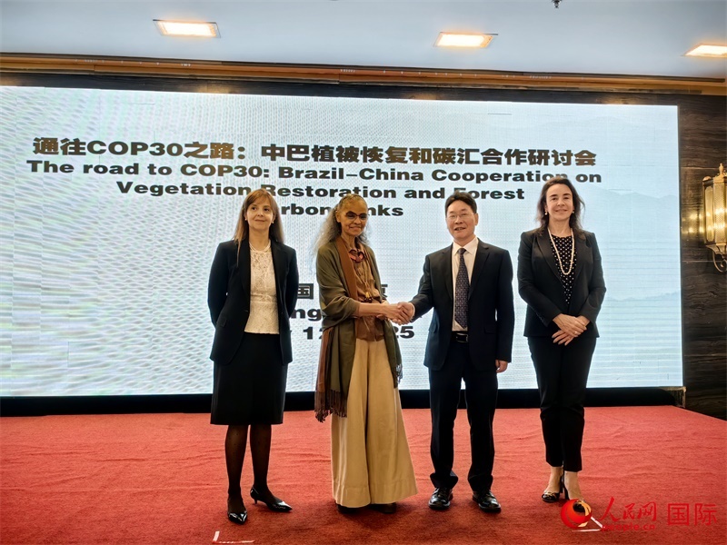 中國國家林業(yè)和草原局副局長李云卿（右二）、巴西環(huán)境和氣候變化部部長瑪麗娜·席爾瓦（左二）、巴西財政部副部長羅熙丹（右一）、巴西駐華大使館公參樂美（左一）出席“通往COP30之路：中巴植樹造林和碳匯合作研討活動”。人民網(wǎng)記者 符園園攝