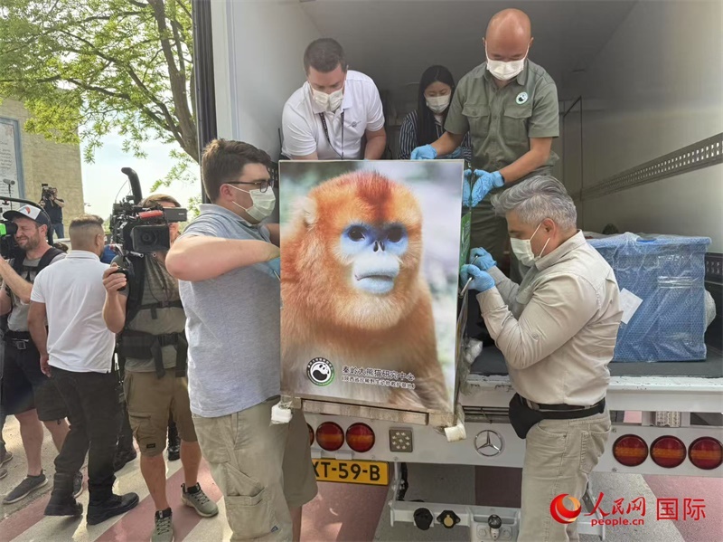 圖為活動(dòng)現(xiàn)場。人民網(wǎng)記者 牛瑞飛攝