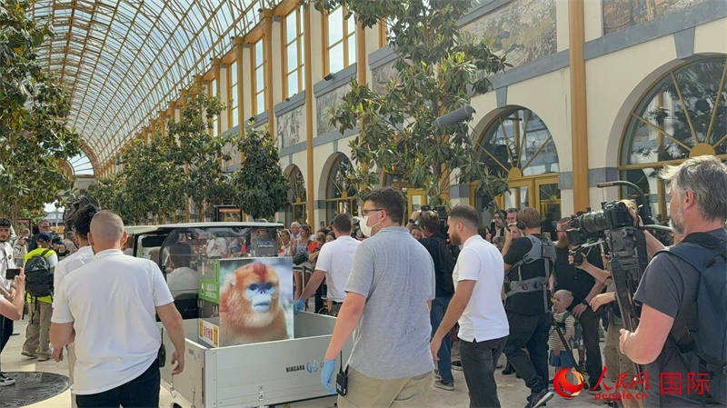 圖為活動(dòng)現(xiàn)場。人民網(wǎng)記者 牛瑞飛攝