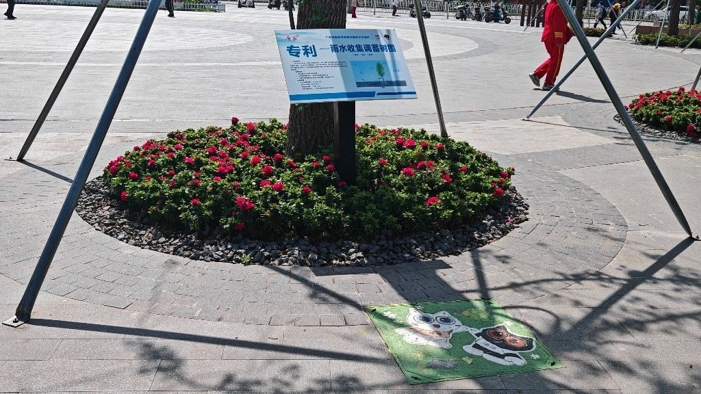 廣安“雨水收集調(diào)蓄樹(shù)池”，已在市內(nèi)公園落地運(yùn)用。受訪者供圖