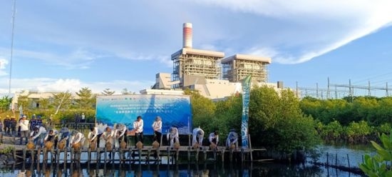 5月18日，中印尼嘉賓在爪哇7號燃煤電站舉行紅樹林補植儀式。記者 曹凱 攝