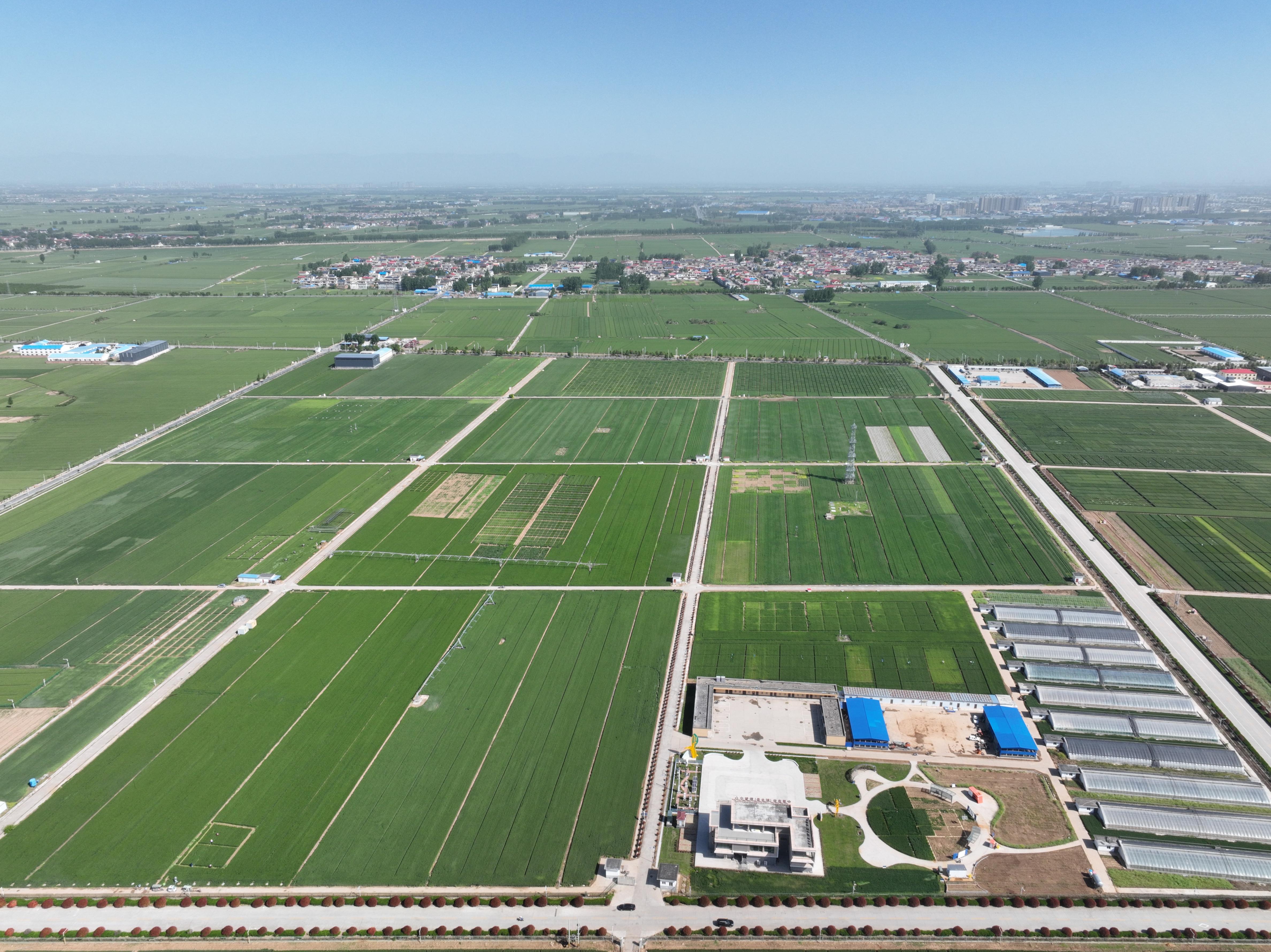 俯瞰水利部灌溉試驗總站試驗研究基地。受訪者供圖