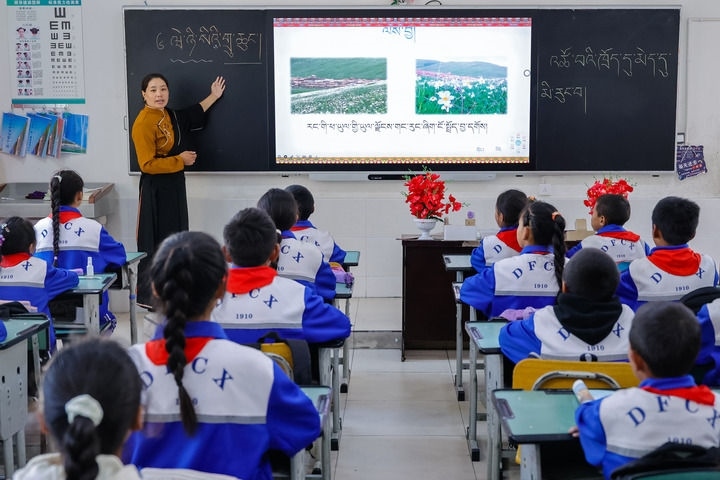 2024年9月27日，在四川省甘孜藏族自治州道孚縣城關(guān)第一完全小學(xué)，采取“藏加模式”教學(xué)的五年級一班的藏語文課上，準木周老師指導(dǎo)藏族學(xué)生以家鄉(xiāng)草原風物為主題寫作藏語文作文。新華社記者 沈伯韓 攝