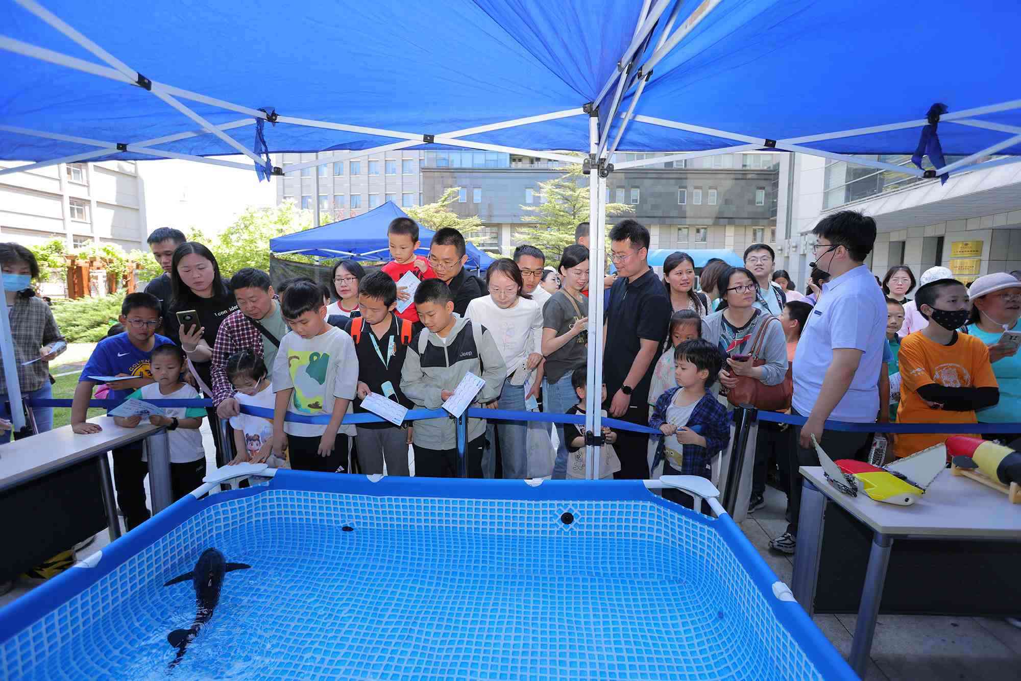 水下仿生機(jī)器魚(yú)在活動(dòng)現(xiàn)場(chǎng)大受歡迎。中國(guó)科學(xué)院自動(dòng)化研究所供圖